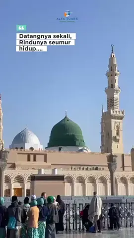 Ada yang rindu madinah juga?🥹 #ibadahumroh #UmrahNyaman #umrah #hajiumroh #madinah 
