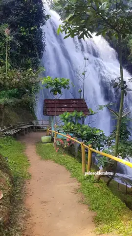 seindah ini viewnya curug cikondang #cianjur #campaka #sukadana #curugcikondang #cianjurselatan 