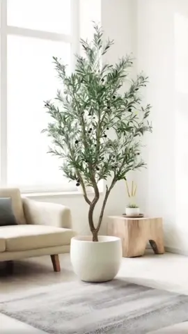 🌳Transform your living space with our Realistic Artificial Olive Tree with Fruits! #ArtificialOliveTree #IndoorDecoration #OutdoorDecoration #FakePottedPlant #HomeDecor 