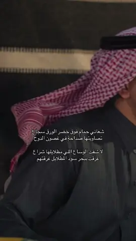 #محمد_بن_حمد #مطحس_بن_حمد                        #fyp #explore #fyyyyyyyyyyyyyyyy 