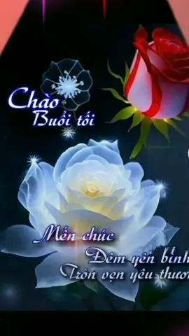 CHẮC GÌ #ChucBuoiToiVuiVe #NhacHayMoiNgay #nhacxuhuongtiktok #vuicungtiktok 