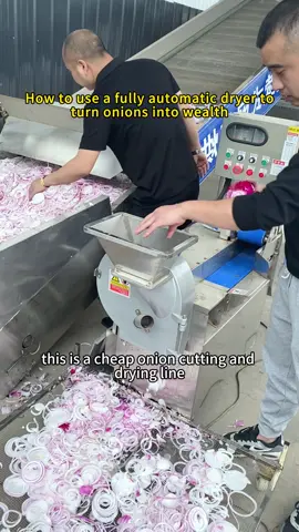 How to use the dryer to turn onions into wealth #oniondryer #tomatodryer #cassavadryer #gingerdryer #vegetabledryer #fyp 