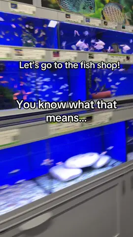 The best thing to pass time! #foru #fyp #fish #maidenheadaquatics #aquarium 
