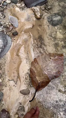 Facebook,yt : amrin Discovery of the gold flour #fyp #video #viral #tiktok 