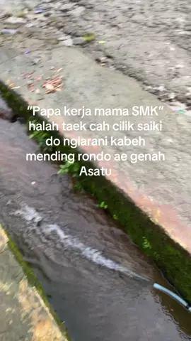 Info rondo keluaran 2025😭 #fyp #foryoupage 