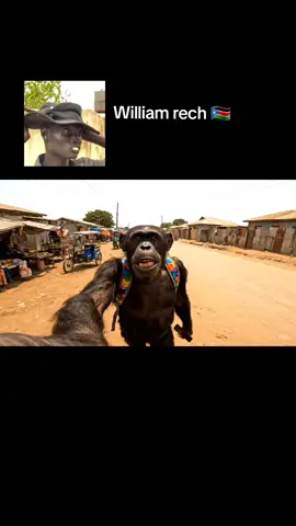 William rech in gudele 1 the monkey vlog #williamrech @Williamrech 