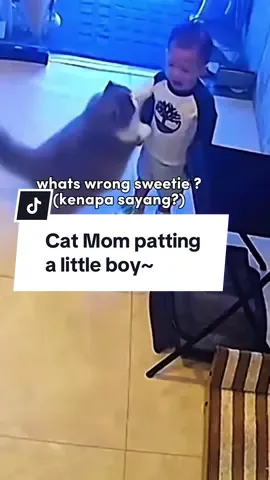 cat mommy pat little boy~ 🥰please be kind. voiced by me: @naylachpyu (me)  #FYP #VoiceActing #fandubber #fandub #funnyanimals #cuteanimals #cutebaby #animalfandub #trendin #trend #foryou #asiancreator #naylaachpy 