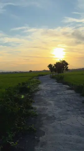 #beautiful #sunset #lagujiwang #cintaciptaankita #iwan 