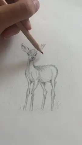 killing innocence #art #deer #drawing #fyp #fyppppppppppppppppppppppp 