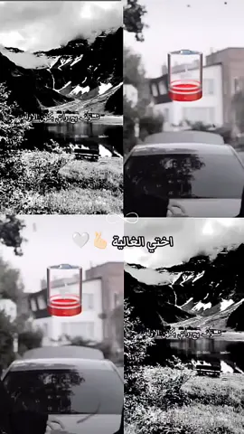 ‏يارب أينما كانت السكينه و الرضا اجعلهُا دائماً في قلب اختي يالله🤲🏻🤍🌱 #اختي_حياتي_رفيقتي_نبض_قلبي♥️😘 #نبض_قلبي🖇❤️ 