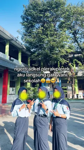 rodok mulehh”