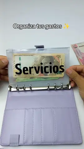 Binder de ahorro #binderdeahorro #cuadernodeahorro #agendafinanciera #agendadeahorro #retodeahorro #binder #ahorro #perú 