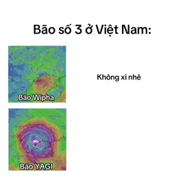 Bão số 3: