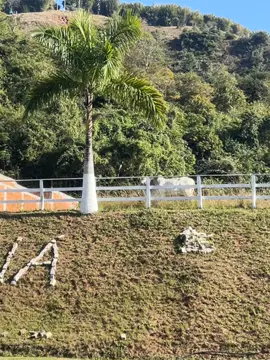 Bom diaaa,Churrasco já veio garantir o café da manhã !! #boi #boimanso #boideestimacao #churrascooboi #nelore #fy #viral 