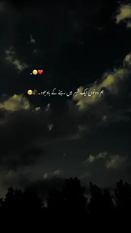 کوئی تو خاص بات ہے 🐣💔۔  #hehe_afridy #foryoupage #growmyaccount #fypシ 