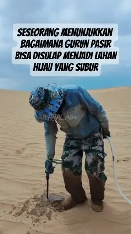 gurun pasir disulap menjadi lahan hijau#gurunpasir #penghijauan #pencintaalam 