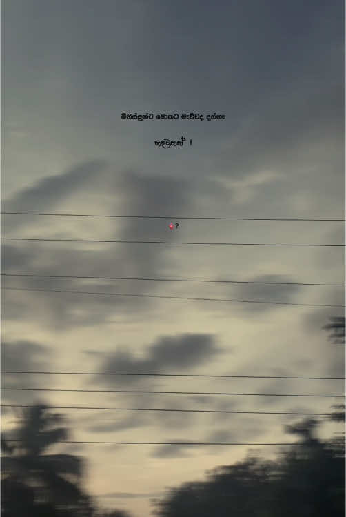 Whyy ? 🖤🫀 #Methuu #foryou #fypシ #srilankan_tik_tok🇱🇰 #foradmin❗️ #whatsappstatus #100k #1millionaudition #backgroundvideo #backgroundsl #statusvideo #sinhalaquoteslife #sinhalaquotes #lovequotes #quotes #goviral #trending #wadan 