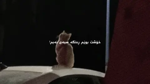 3:49 || خۆشت بوێم ، ڕەنگە سبەی نەبم  ڕەنگە ئەمڕۆ کۆتا ڕۆژ بێت بیرت لێ بکەمەوە و چاوەڕێت بکەم  ڕەنگە سبەی پەشیمان بیت تێبگەی کە چیت لە دەست داوە تێبگەی ئەو کەسەی هەمیشە لات بوو بە پێکەنینەکەی دڵتی خۆش ئەکرد ، ئیتر نییە  تێبگەی ئەو نامانەی وەلامت نەئەدایەوە  لەو دڵەوە بوو  کە خۆشی ئەویستی ئەو دەنگەی پێی بێزار ئەبووی، نیگەرانی حاڵت بوو ئەو ساتەی بە خۆت ئەڵیی: «خۆزگە کەمێک زووتر تێدەگەشتم» بەڵام ئیتر درەنگە چونکە هەندێ مرۆڤ تا رادەیەک سەبر ئەگرن و دوای ئەوە هەمیشە ئەڕۆن ئەو ڕۆژە ، پەشیمان ئەبی.. بەڵام پەشیمانی ئیتر هیچ ناگەڕێنێتەوە رەنگە هەرگیز هەست بە من نەکەیەوە . وەرگیراوە🤍 #foryou #fyp #taja_kam20 #fypシ #💔 #foryoupage #♥️ 