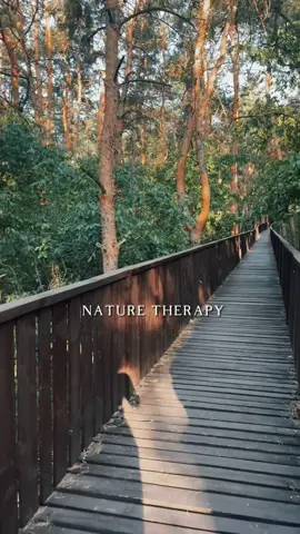 #naturetherapy #theraphy #debrecen #erdőspuszta #jbglikes #természet #countrylife 