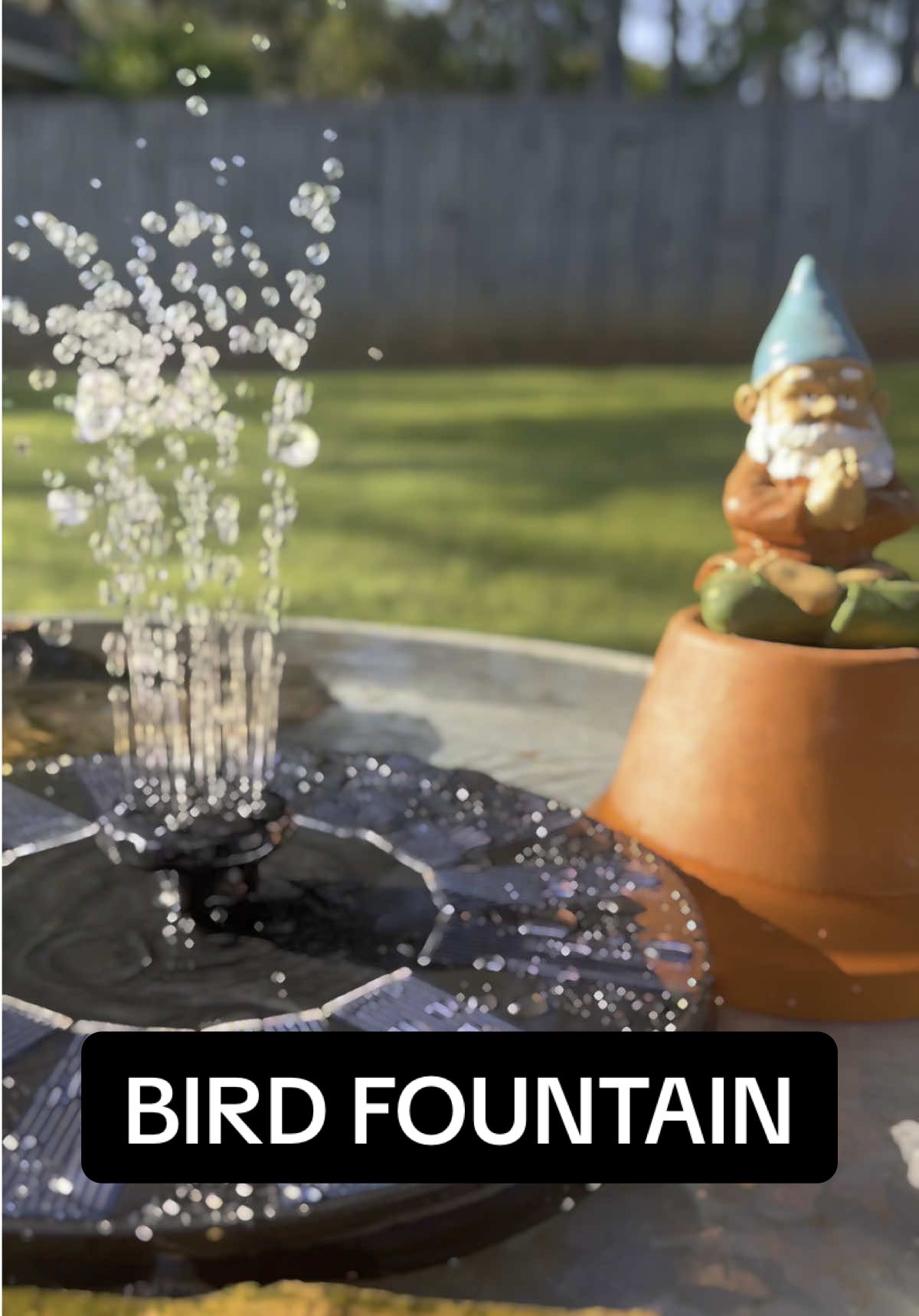 Gnome chillin in my bird fountain! The birds are loving it!  #birdsoftiktok #birdfountain #gooutside #touchgrass #enjoylife #fyp 