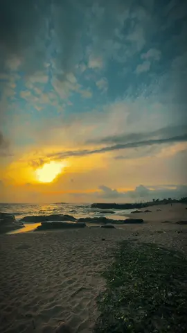 හිමි නැති සෙනෙහේ.. හදවත රන්දා...!❤️‍🩹📈 | Background වීඩියෝ හොයන ඔයාටමයි ලස්සන ළමයෝ මේ video එක.!#tharuupage #backgroundvideo #quotes #sinhalaquotes #whatsappstatus 