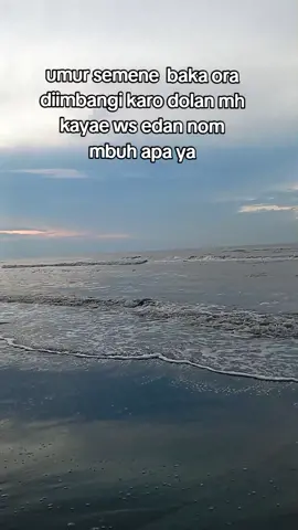 #viral_vidio_tiktok❤️  #fypシ゚ #story_dermayu 