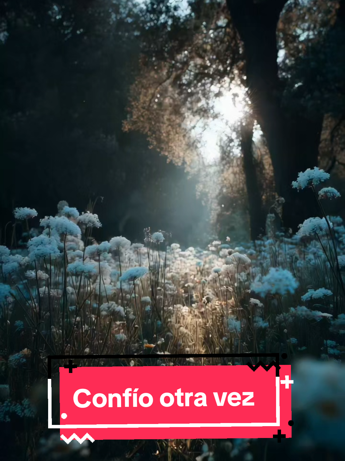 Confío otra vez. #confio #confianza #otra #otravez #crecimientoInterior #desarrollopersonal #mantra #fyp #manifestation #lunallena 