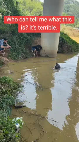 #tiktok #foryou #Outdoors #fishingtips #viral #viralvideo #fishingmaster