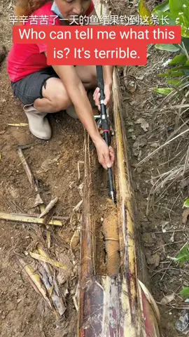 #tiktok #foryou #Outdoors #fishingtips #viral #viralvideo #fishingmaster