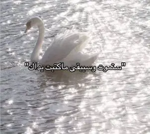 #explore #قران #Quran #foryou #fyp #اجر #اكسبلور 