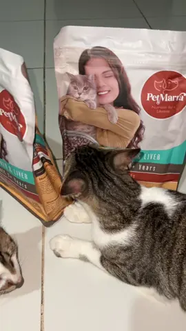 Per marra kitten/Adult cat dry food  #petmarradryfood  #oceanfishchickenliverbeefmilkflavor