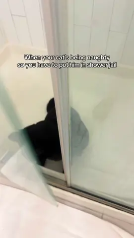 It’s even dirty like an actual jail #catsoftiktok #cat #blackcat 