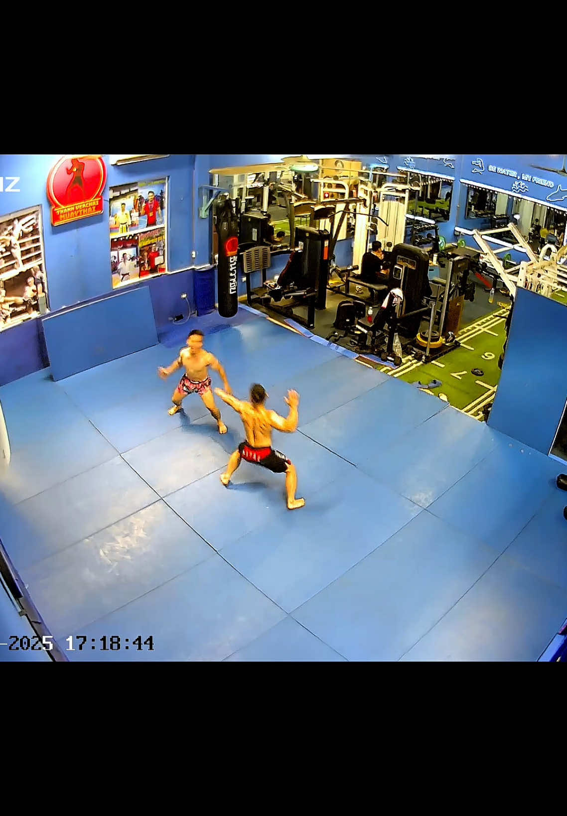 Chiến thần huỷ diệt phòng gym 😅 Part78 #gym #Fitness @Đào Hồng Sơn @TuanTuan MuayThai @THANHVERCHAI @Võ Tiến Đạt - Võ ít Sĩ Nhiều @Đỗ Văn Vinh