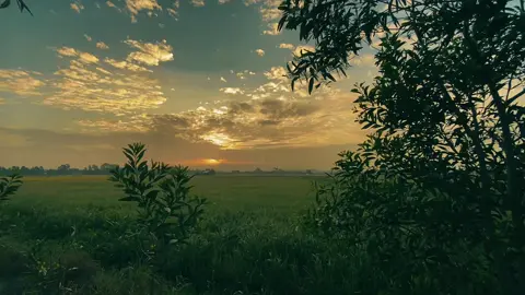 #CapCut Vibe nature . #capcutradio #mood #nature #Vlog #vibes 