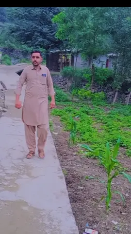 #د #کلی #مازیگرے #todaytrending #foryoupageofficiall #verilvideo #100k @mukamal khan @AbdurRazaq @Ali pasban Swat @Abid Ali Ak @Ali cop @Elis sopiya 