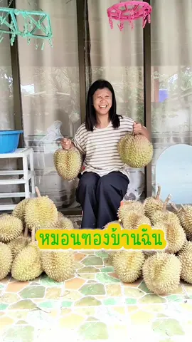 นราธิวาสบ้านฉันมีทุเรียนหมอนทองอร่อยๆด้วยนะ #นราธิวาส #ทุเรียนหมอนทอง #หมอนทอง #ชาวสวน #ชีวิตต้องสู้ #คนใต้ #คนนราธิวาส 