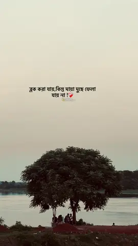 ব্লক করা যায়,কিন্তু মায়া মুছে ফেলা যায় না !❤️‍🩹🙂#foryou #foryoupage #emotional #fypシ #sad_loading_01 #sad #vairalvideo #unfreezemyacount @TikTok Bangladesh @TikTok 