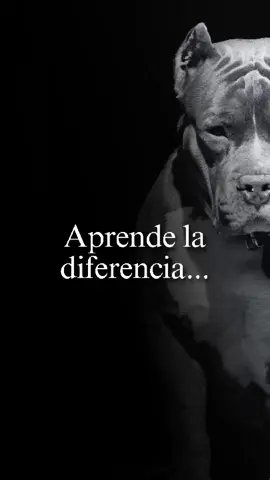 Aprende a distinguir entre lealtad y conveniencia #frases #reflexion #motivacion #rodolfougarte #motivacional 