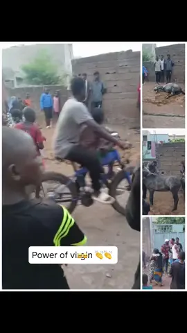 Power of v-gin 😇