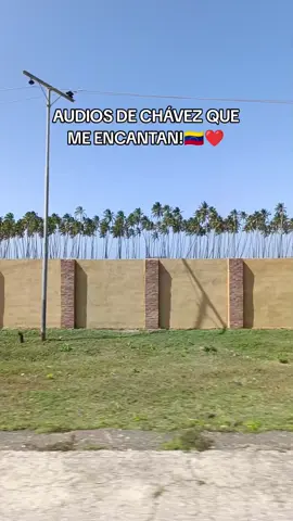Audios de Chávez que me encantan! ❤️🇻🇪 #chavez #amor #foryoupage #viral_video #contenido #venezuela🇻🇪 #lentejas #paratii 