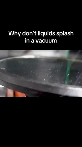 #fyp 