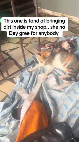 #Mypet#fyp #rhukoryah #viralvideos #OLUWAREMILEKUN 