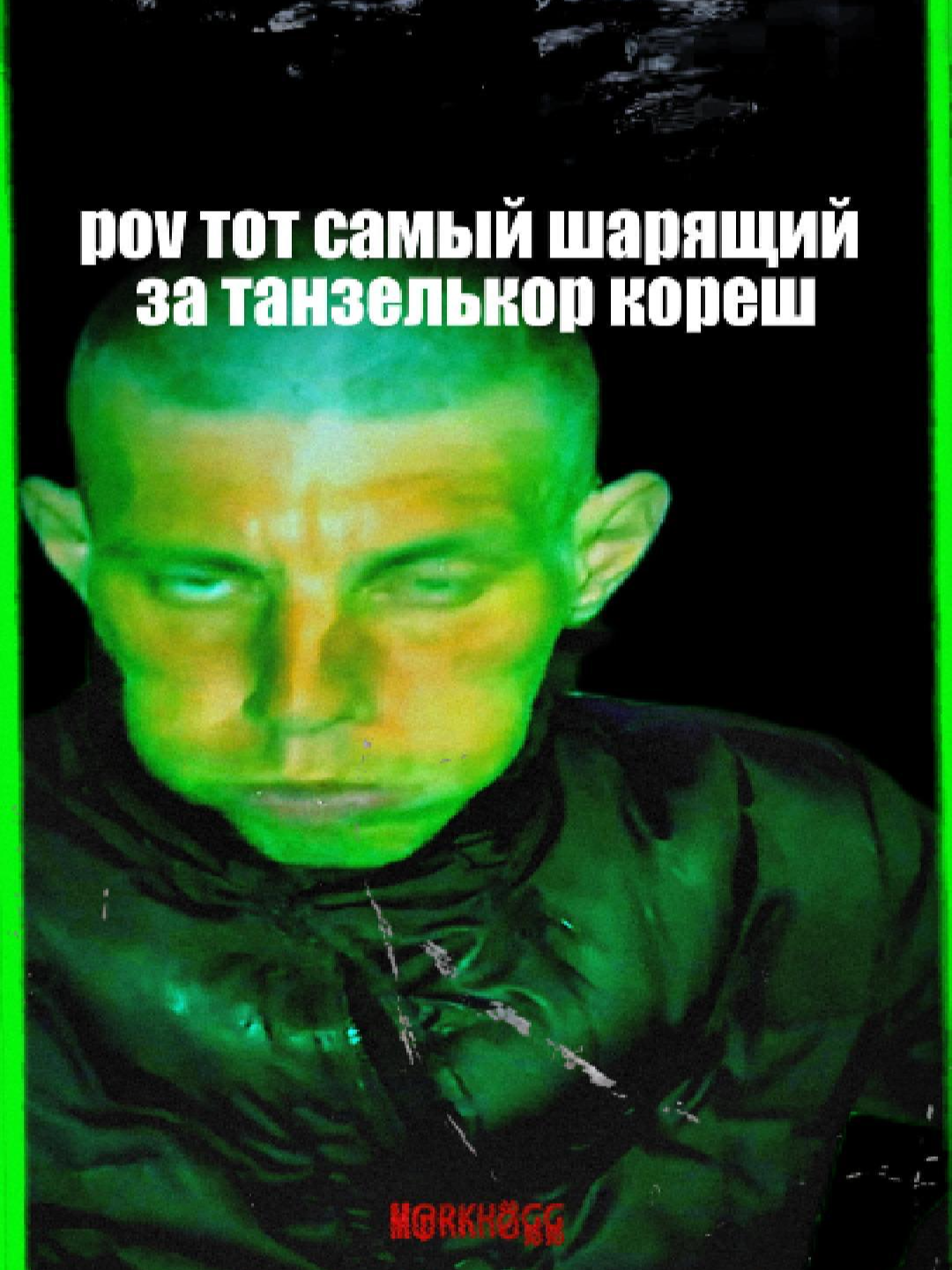 Сейчас же, обязательно, отмечай своего шарящего гномоведа!🧙🌲🍄 Песня 