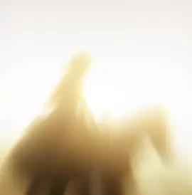 I've completely lost hope in ao  #rdr2#rdr2edit#reddeadredemption2edit#fy#fyp#rdo 