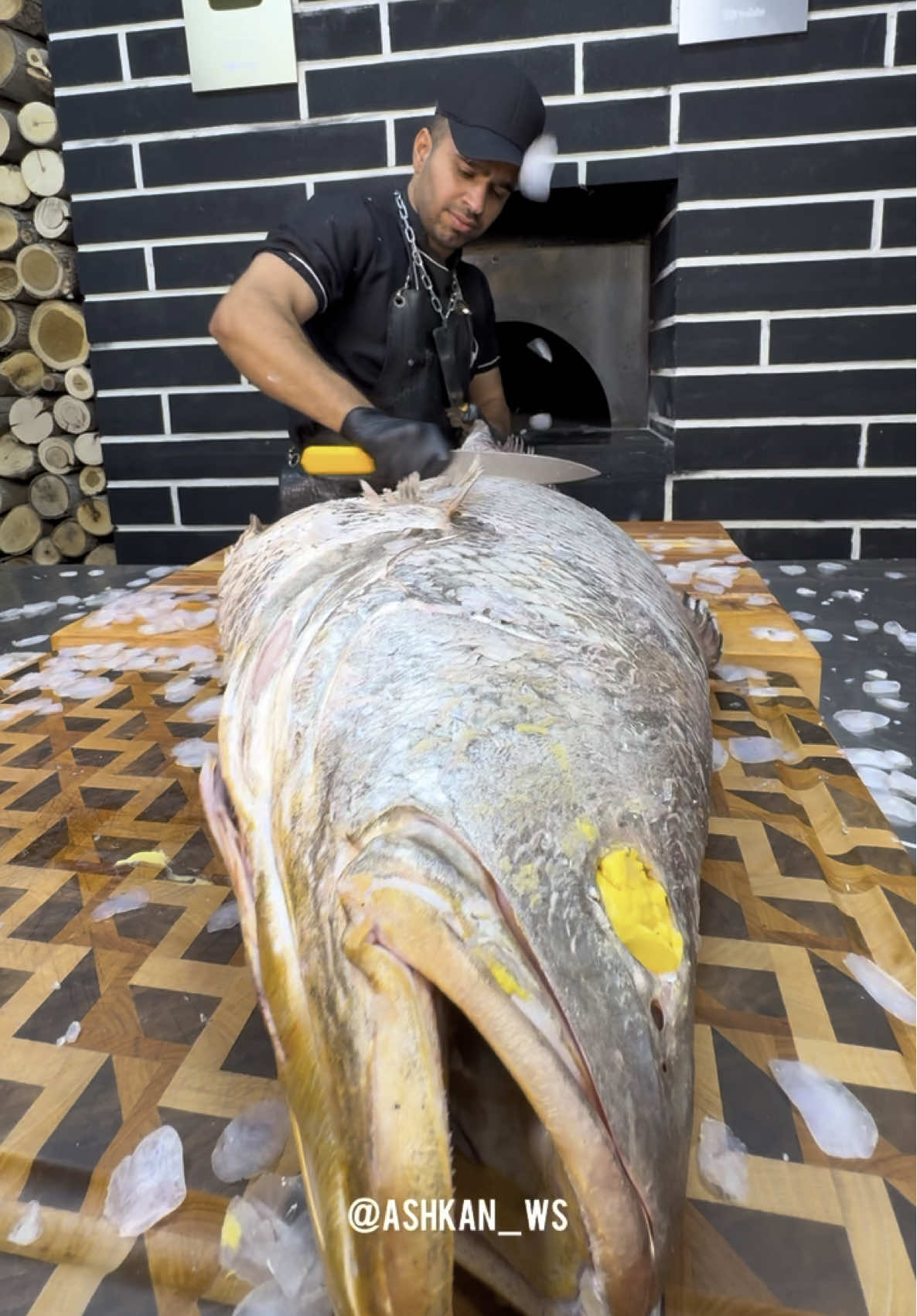 Southern Special: Argyrosomus regius fish with rice recipe🐟🐬🍚🔥#kebab #cooking #grilling #fish #steakhouse 