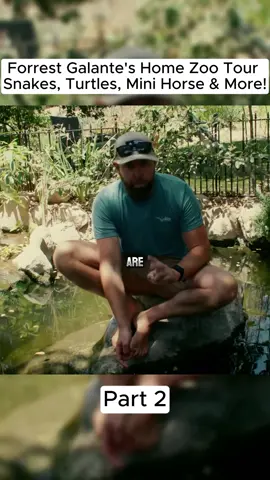 Forrest Galante's Home Zoo Tour | Snakes, Turtles, Mini Horse & More! Part 2 #fyp #anima #Vlog 