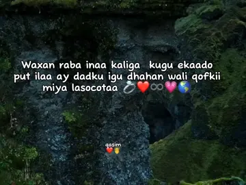 #สโลว์สมูทสปีดสโลว์ #writer_qasim #foroyou 