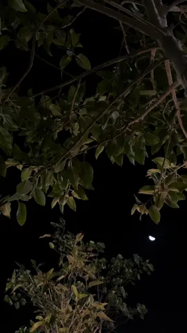 لامن غديتي شمس وشلون اعذلك لابد مايظهر مع طلتك نور  تلطفي وان كحل الزين نجلك  وتواضعي لوبك غدى الحسن مغرور ماالومهم لو لدت عيونهم لك  من ناظرك ياربة الحسن معذور من سطرو عذب المعاني نجد