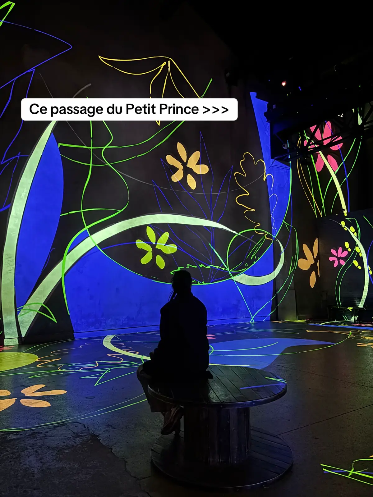 On ne s'en remet pas 🥹   Le Petit Prince® © Succession Antoine de Saint Exupéry – 2025 DA : N. Charlin | Réalisation : Spectre Lab | Bande-son : Start-Rec © Culturespaces / C. de la Motte Rouge   #lepetitprince #thelittleprince #citation #quotes #booklovers
