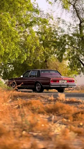 @هاني المعبدي ⚜️ 